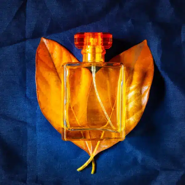 Fragranze Artistiche per l’Autunno 2024